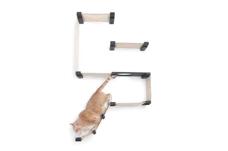 Cat Wall Cat Climber-1