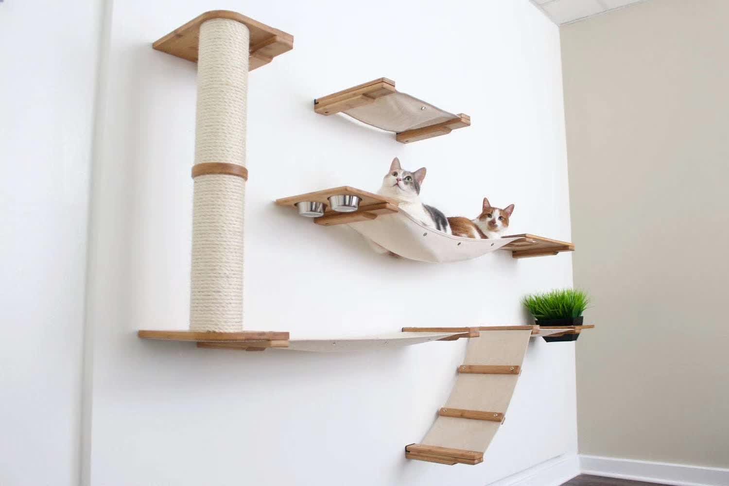 Cat Wall Cat Climber-6