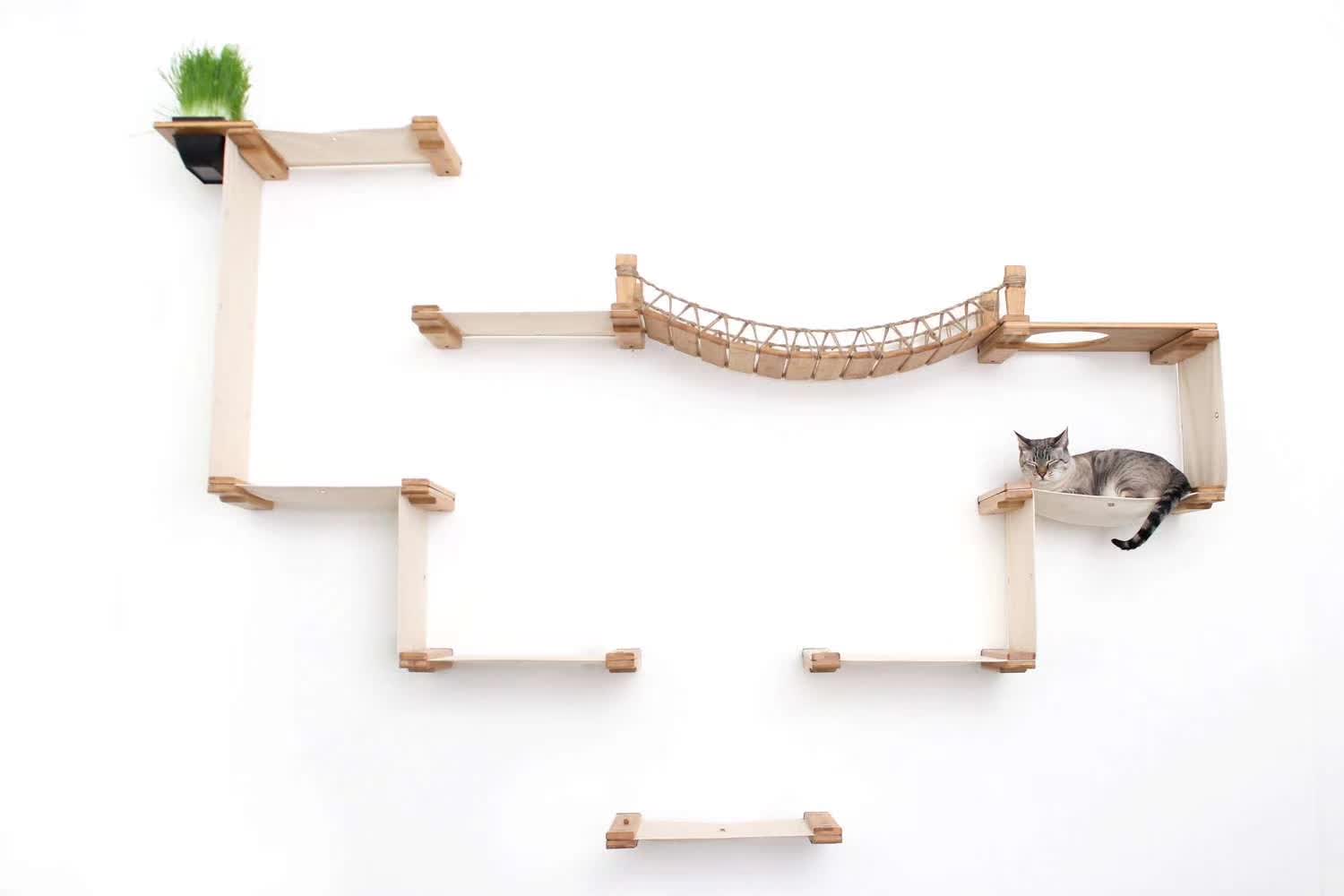 Cat Wall Cat Climber-7